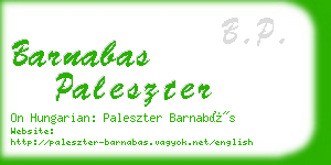 barnabas paleszter business card